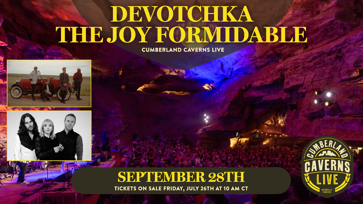 Devotchka The Joy Formidable Poster Lenz Designed