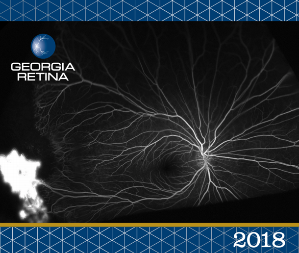 Example shot of the 2018 Georgia Retina calendar.