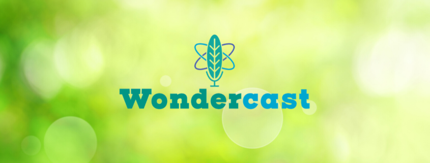 Graphic featuring Science ATL's Wondercast logo